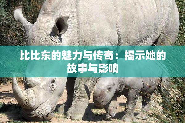 比比东的魅力与传奇：揭示她的故事与影响