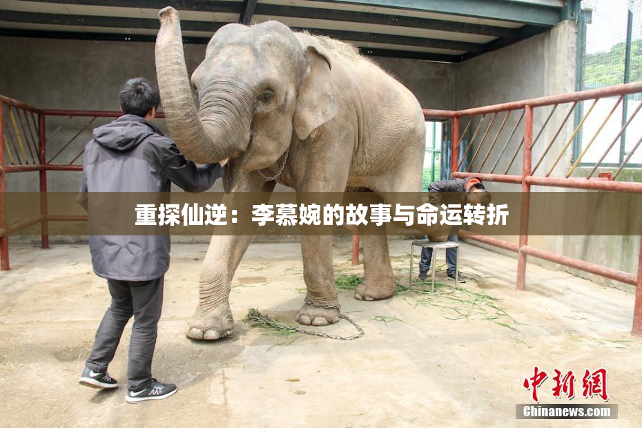 重探仙逆：李慕婉的故事与命运转折