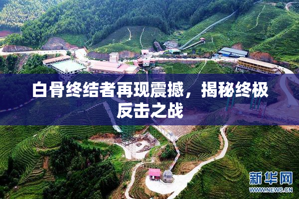 白骨终结者再现震撼，揭秘终极反击之战