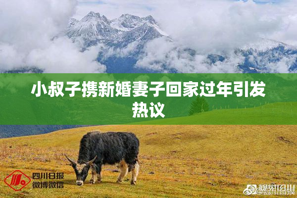 小叔子携新婚妻子回家过年引发热议