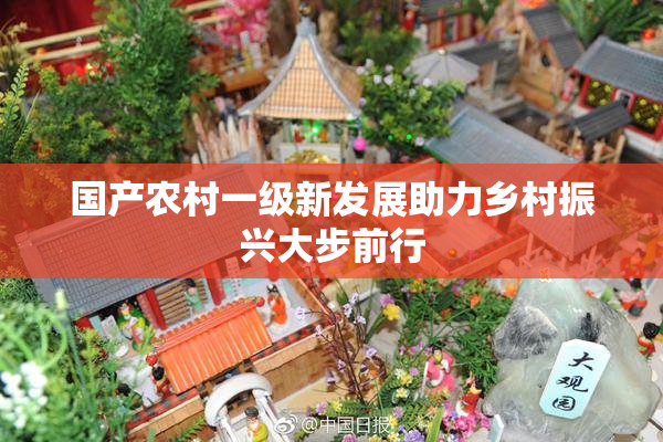 国产农村一级新发展助力乡村振兴大步前行