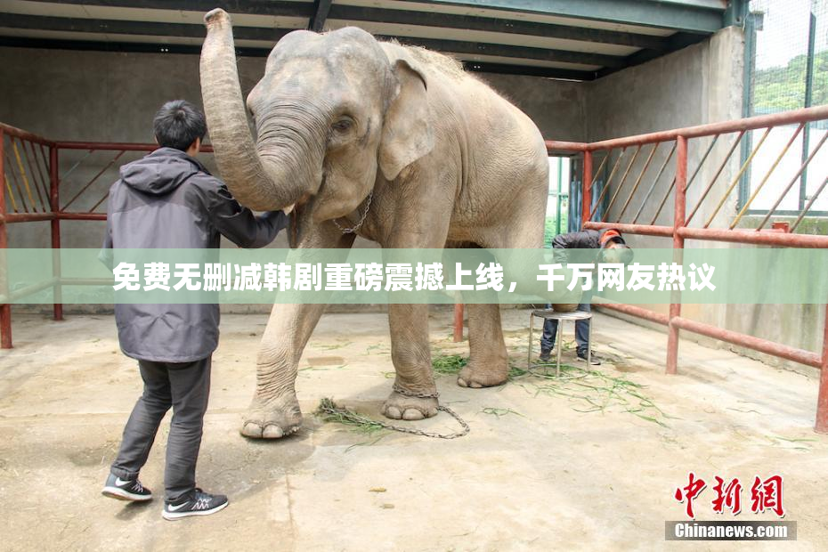 免费无删减韩剧重磅震撼上线，千万网友热议