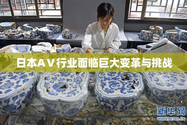 日本AⅤ行业面临巨大变革与挑战