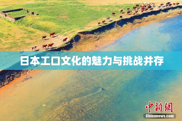 日本工口文化的魅力与挑战并存