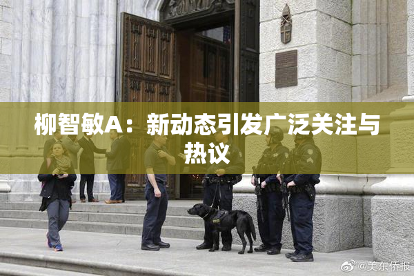 柳智敏A：新动态引发广泛关注与热议
