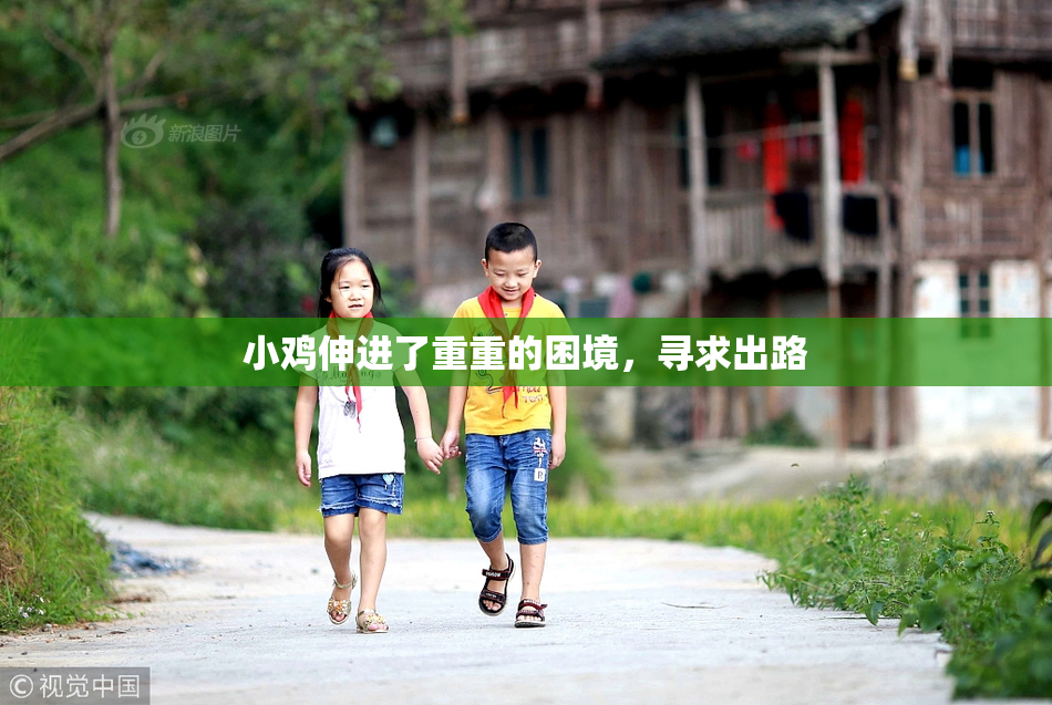 小鸡伸进了重重的困境，寻求出路