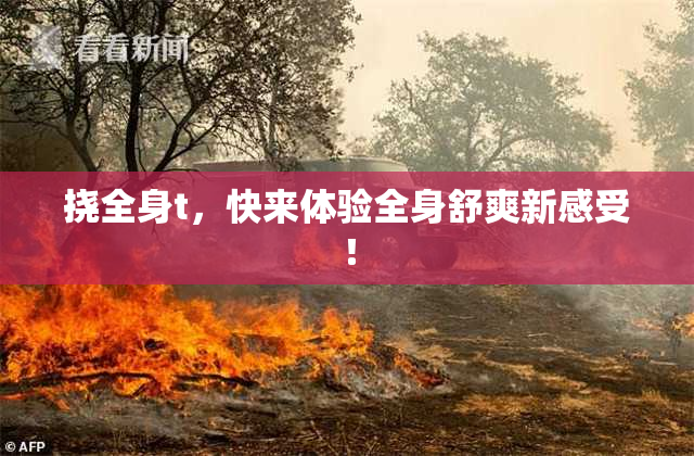 挠全身t，快来体验全身舒爽新感受！