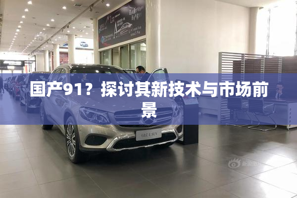 国产91？探讨其新技术与市场前景