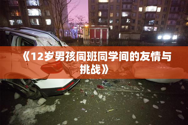 《12岁男孩同班同学间的友情与挑战》