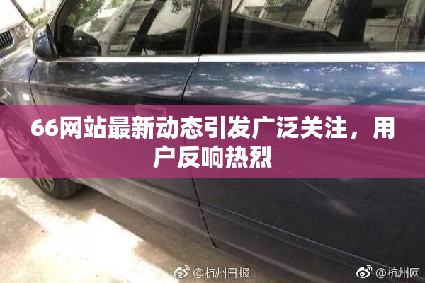 66网站最新动态引发广泛关注，用户反响热烈