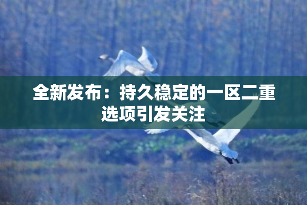 全新发布：持久稳定的一区二重选项引发关注