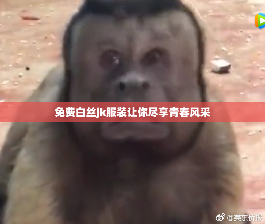 免费白丝jk服装让你尽享青春风采