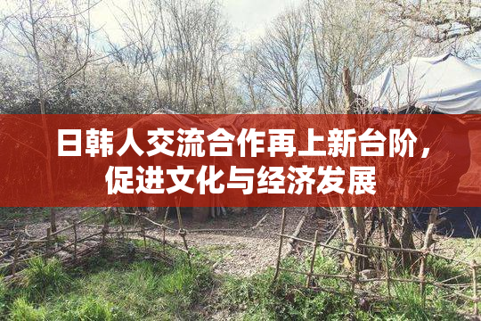 日韩人交流合作再上新台阶，促进文化与经济发展