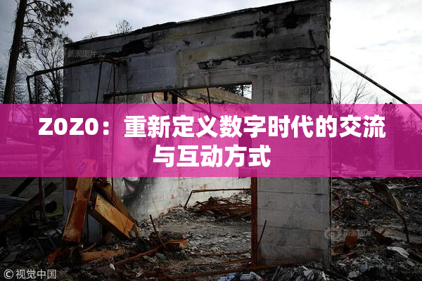 Z0Z0：重新定义数字时代的交流与互动方式