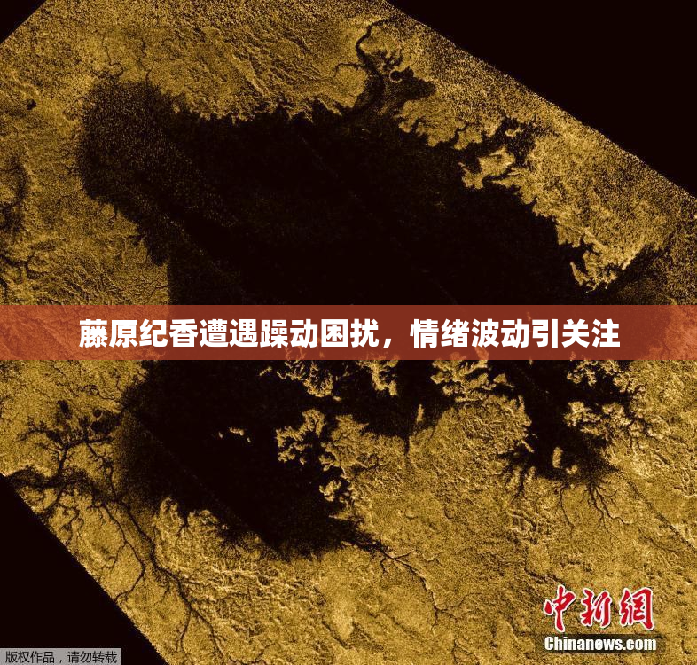 藤原纪香遭遇躁动困扰，情绪波动引关注