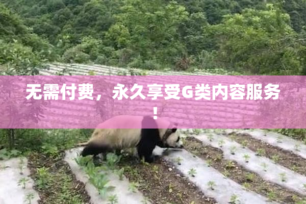 无需付费，永久享受G类内容服务！