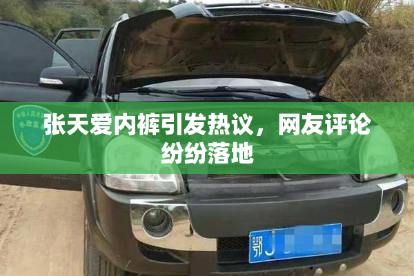 张天爱内裤引发热议，网友评论纷纷落地