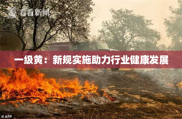 一级黄：新规实施助力行业健康发展