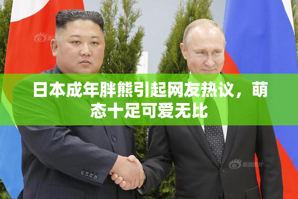 日本成年胖熊引起网友热议，萌态十足可爱无比