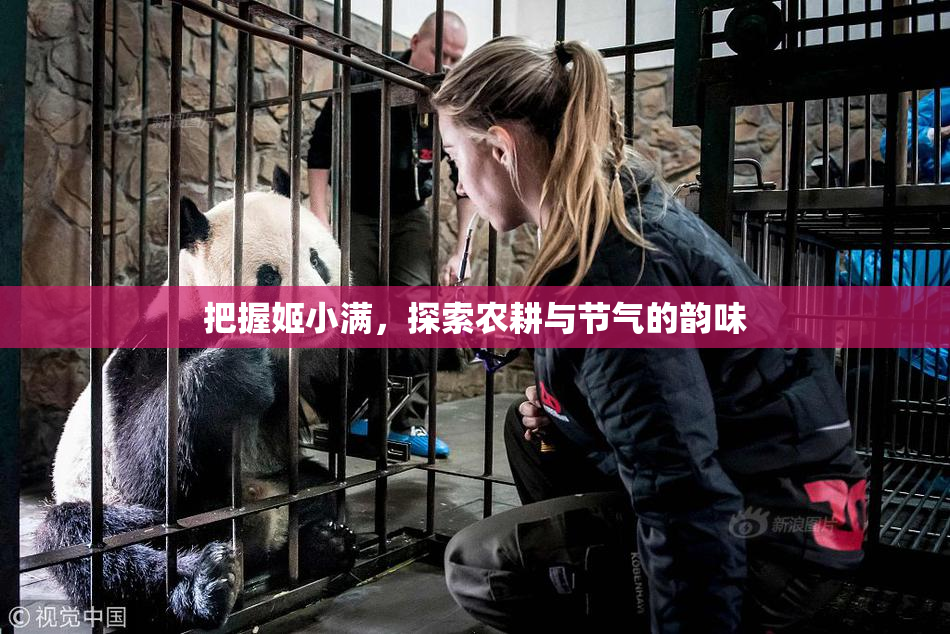 把握姬小满，探索农耕与节气的韵味