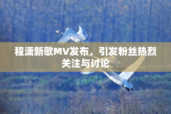 程潇新歌MV发布，引发粉丝热烈关注与讨论