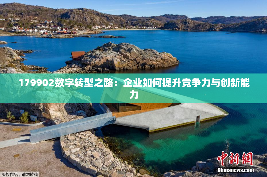 179902数字转型之路：企业如何提升竞争力与创新能力