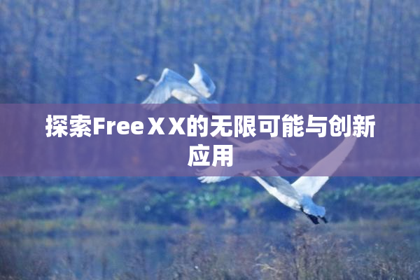 探索FreeⅩX的无限可能与创新应用