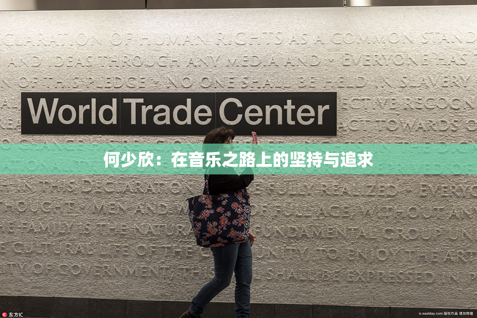 何少欣：在音乐之路上的坚持与追求