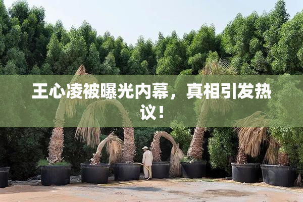 王心凌被曝光内幕，真相引发热议！