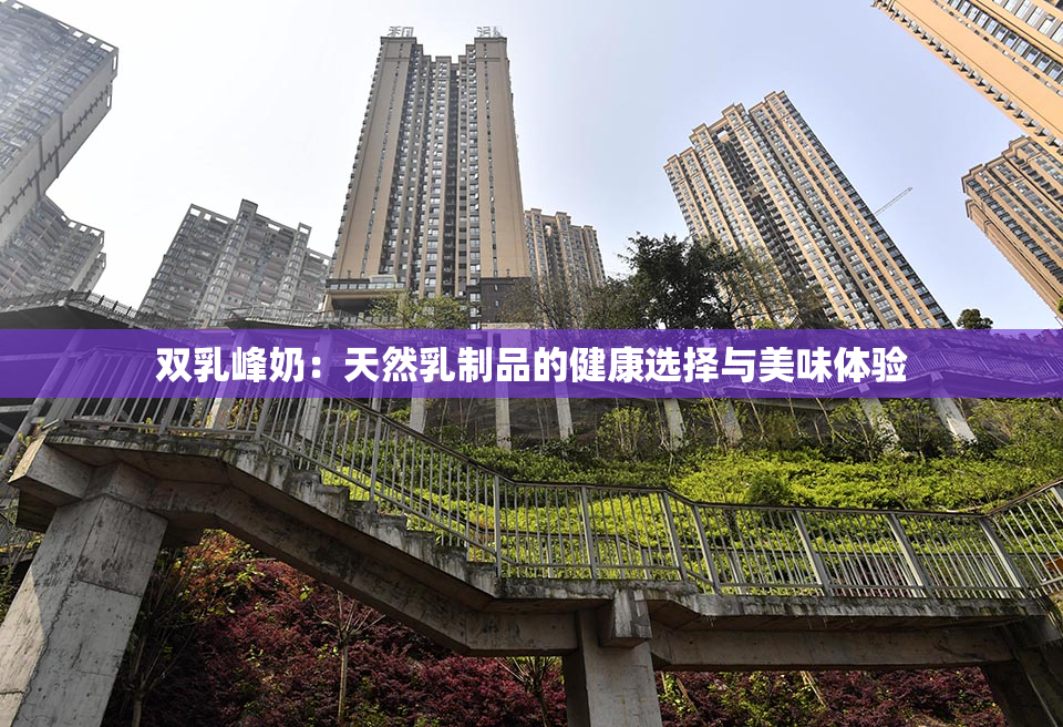 双乳峰奶：天然乳制品的健康选择与美味体验