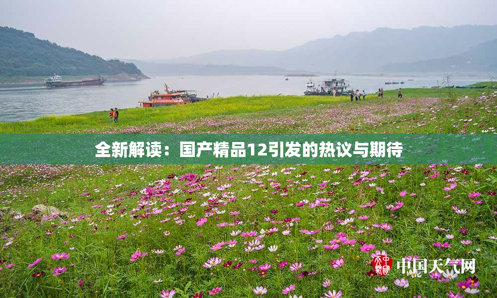 全新解读：国产精品12引发的热议与期待