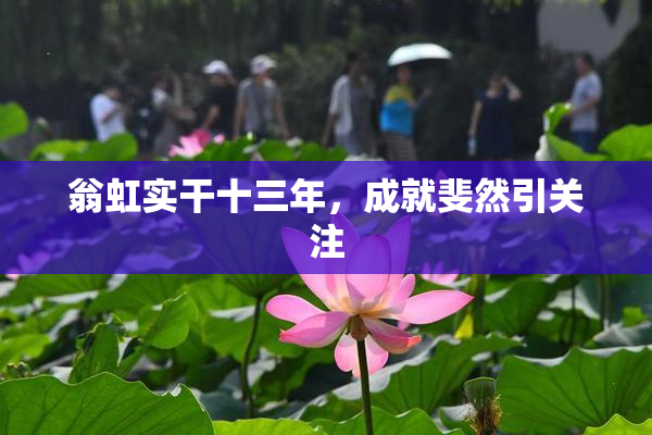 翁虹实干十三年，成就斐然引关注