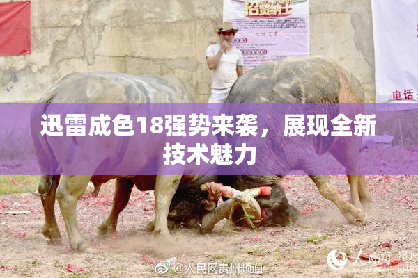 迅雷成色18强势来袭，展现全新技术魅力