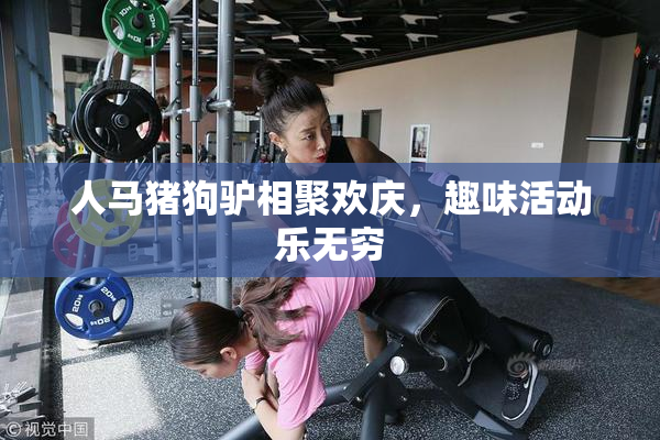 人马猪狗驴相聚欢庆，趣味活动乐无穷