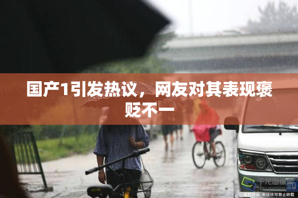 国产1引发热议，网友对其表现褒贬不一