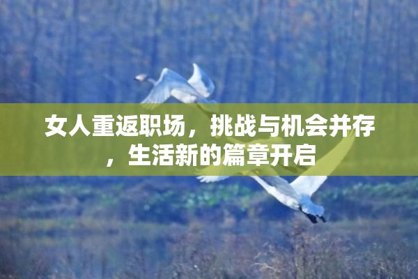 女人重返职场，挑战与机会并存，生活新的篇章开启