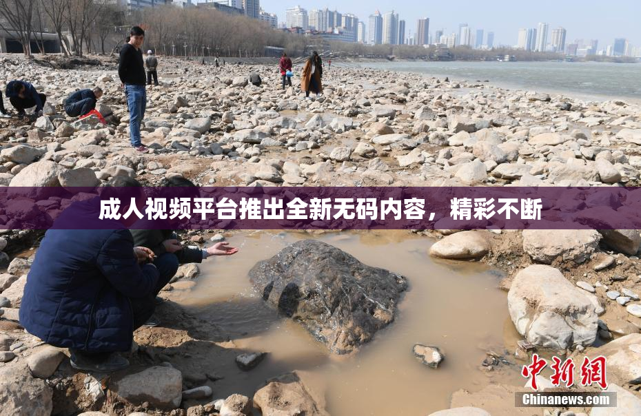 成人视频平台推出全新无码内容，精彩不断