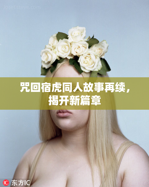 咒回宿虎同人故事再续，揭开新篇章
