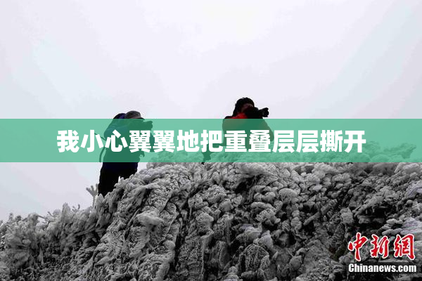 我小心翼翼地把重叠层层撕开