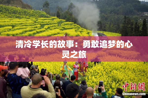 清冷学长的故事：勇敢追梦的心灵之旅