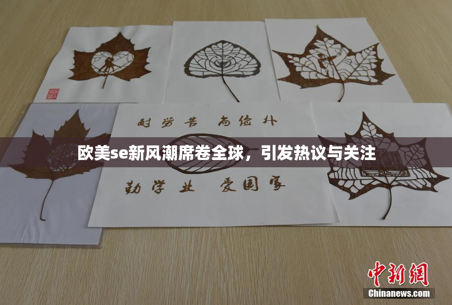 欧美se新风潮席卷全球，引发热议与关注