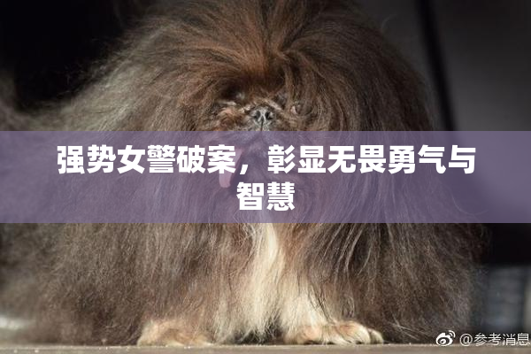 强势女警破案，彰显无畏勇气与智慧
