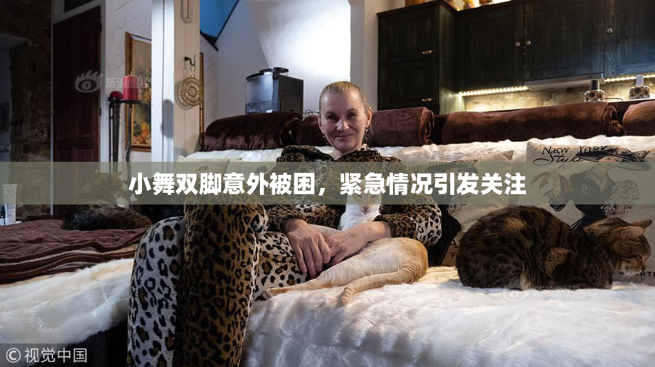 小舞双脚意外被困，紧急情况引发关注