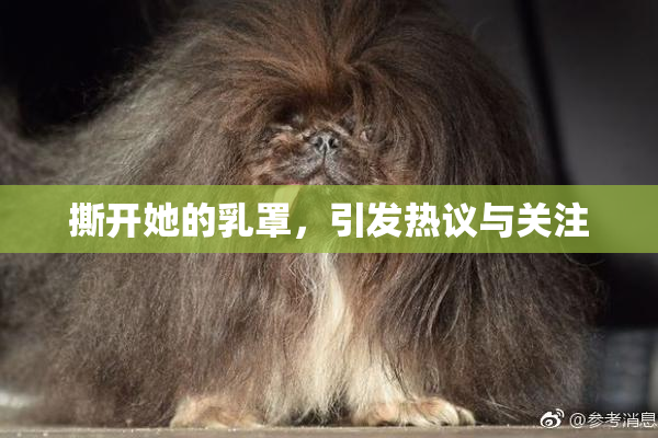 撕开她的乳罩，引发热议与关注