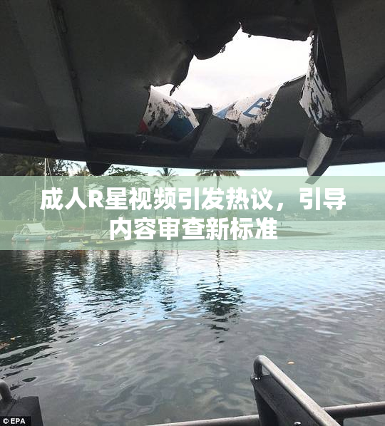 成人R星视频引发热议，引导内容审查新标准