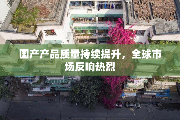 国产产品质量持续提升，全球市场反响热烈
