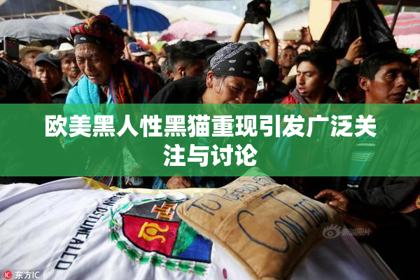 欧美黑人性黑猫重现引发广泛关注与讨论