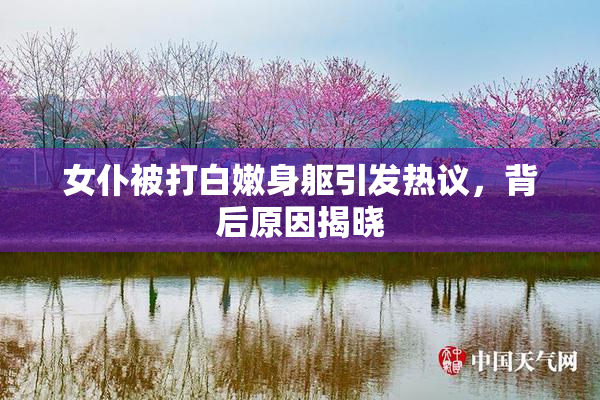 女仆被打白嫩身躯引发热议，背后原因揭晓