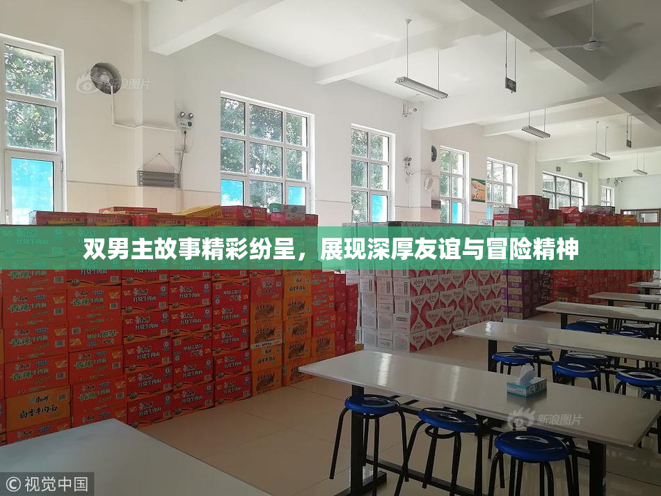 双男主故事精彩纷呈，展现深厚友谊与冒险精神