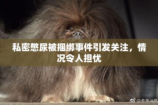 私密憋尿被捆绑事件引发关注，情况令人担忧